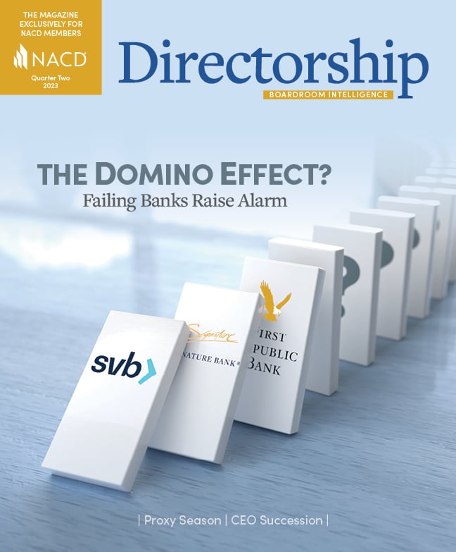 Directorship Magazine Cover